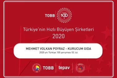 tobb100 kurucum gıda